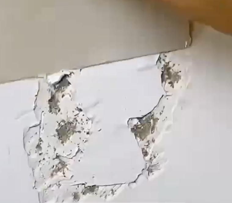 QuickFix Wall Repair Paste – Crack & Hole Filler (200g)